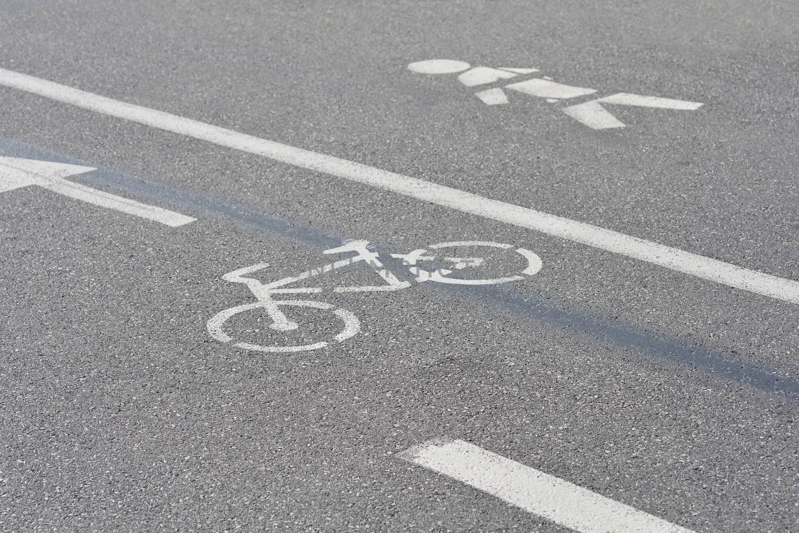 Detail of bicycle and pedestrian lanes on the road