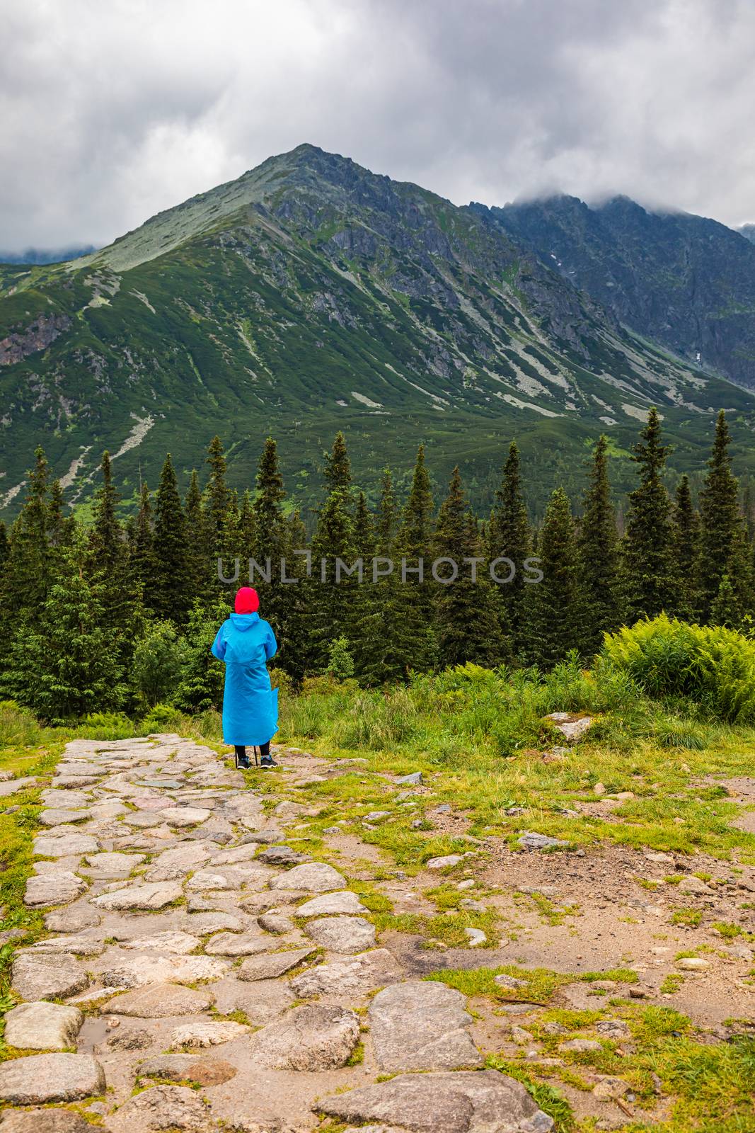 Hikker in a plastic raincoat walking in Tatra mountains, Poland in bad weather - portrait orientation