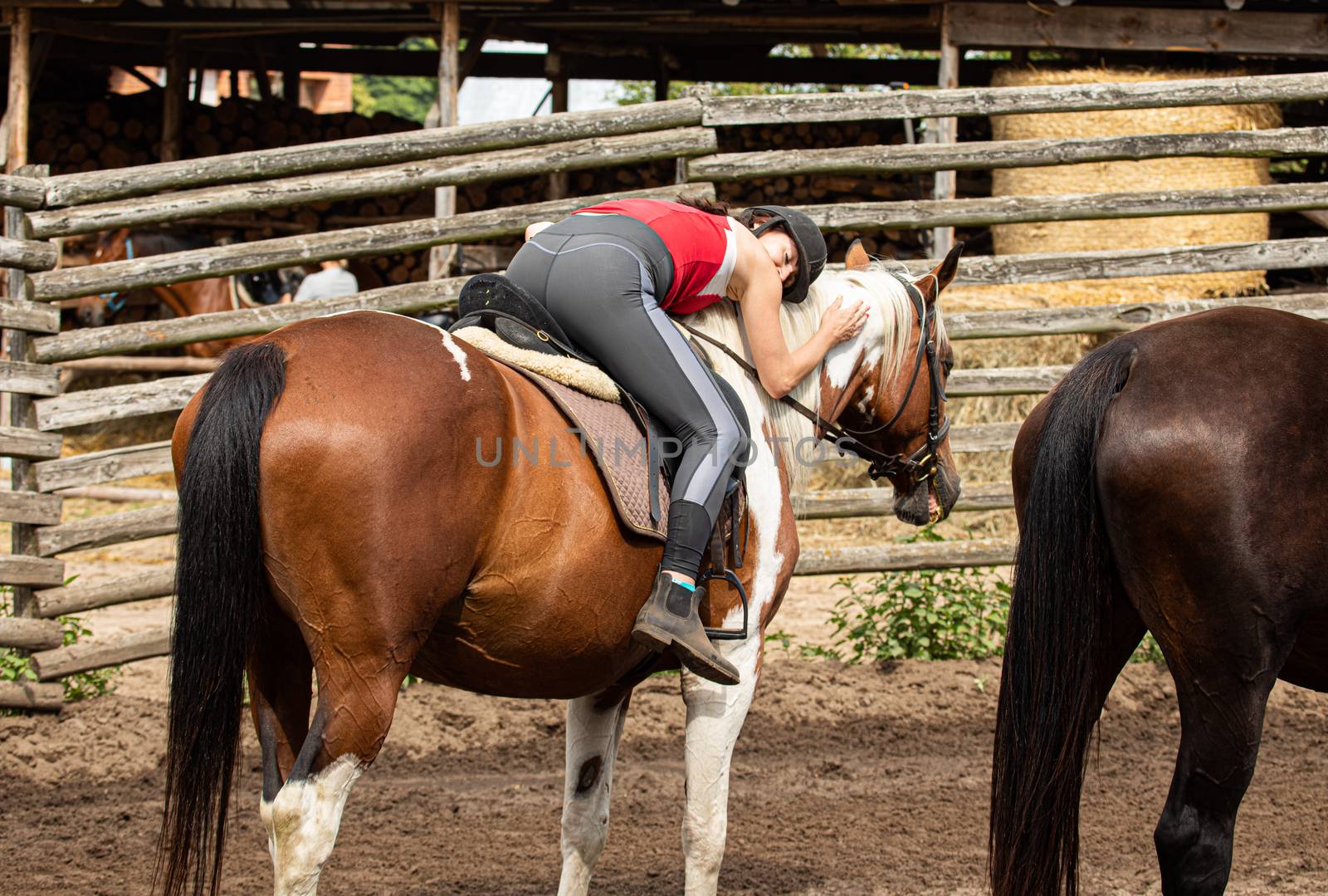 Woman on laying on the horse and hugging after horseback riding  by mkenwoo