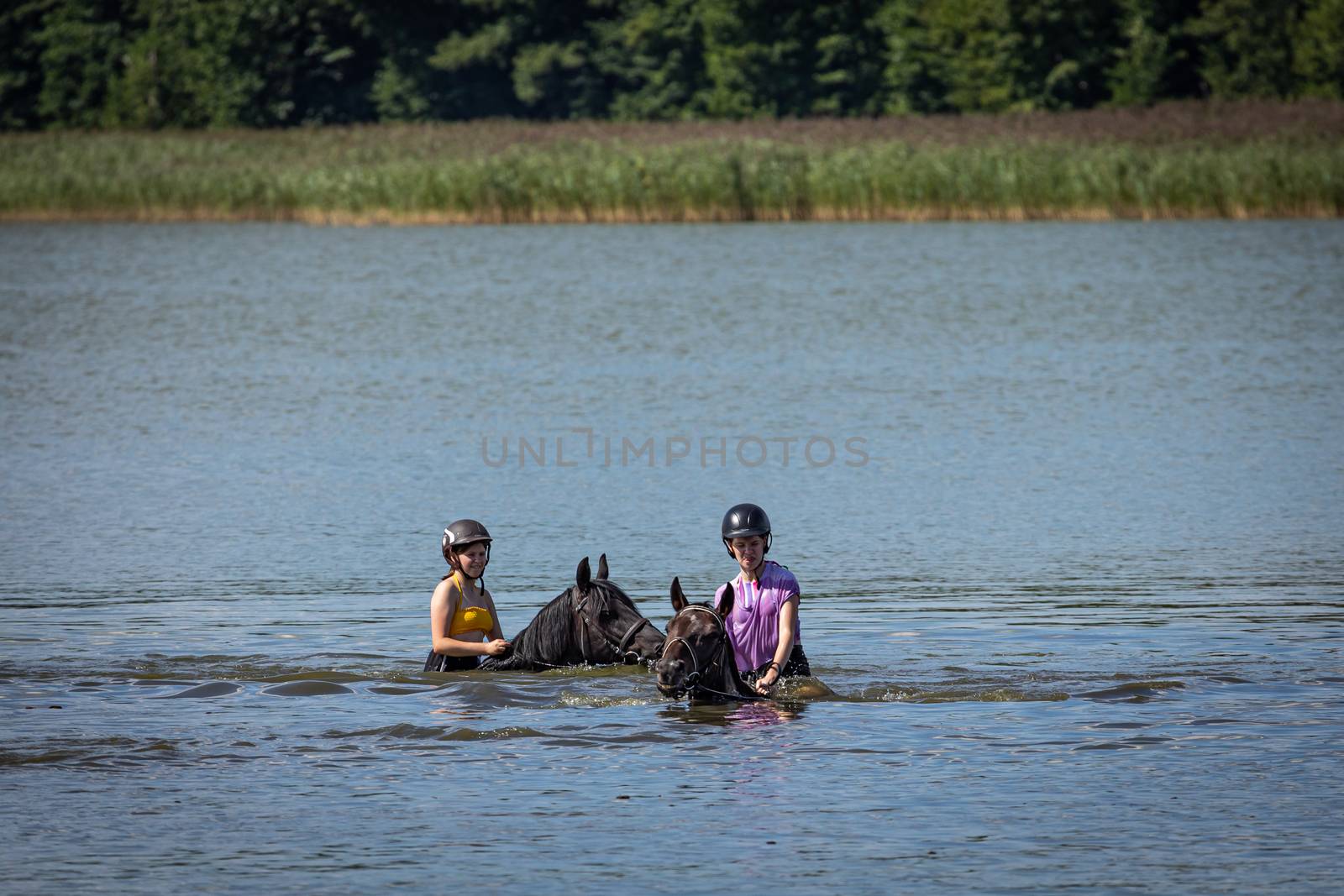Two teenager girls swimming in the lake with the horses by mkenwoo