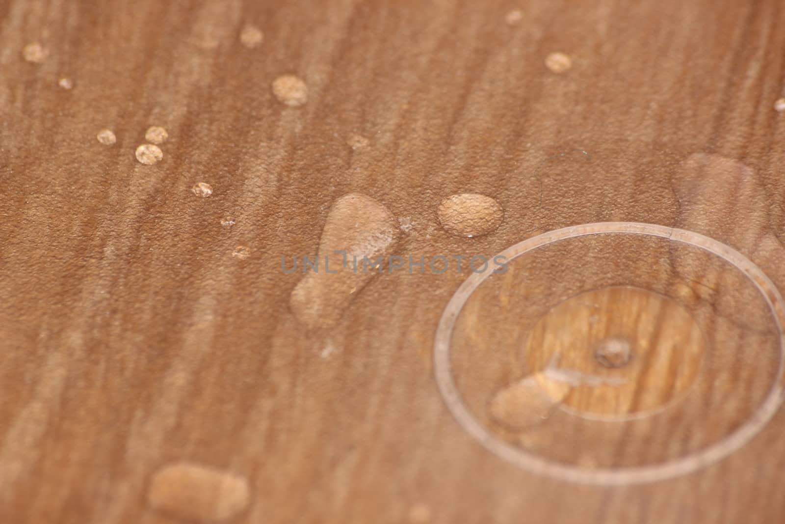 Closeup selective focus view of water drops on wooden floor. by Photochowk