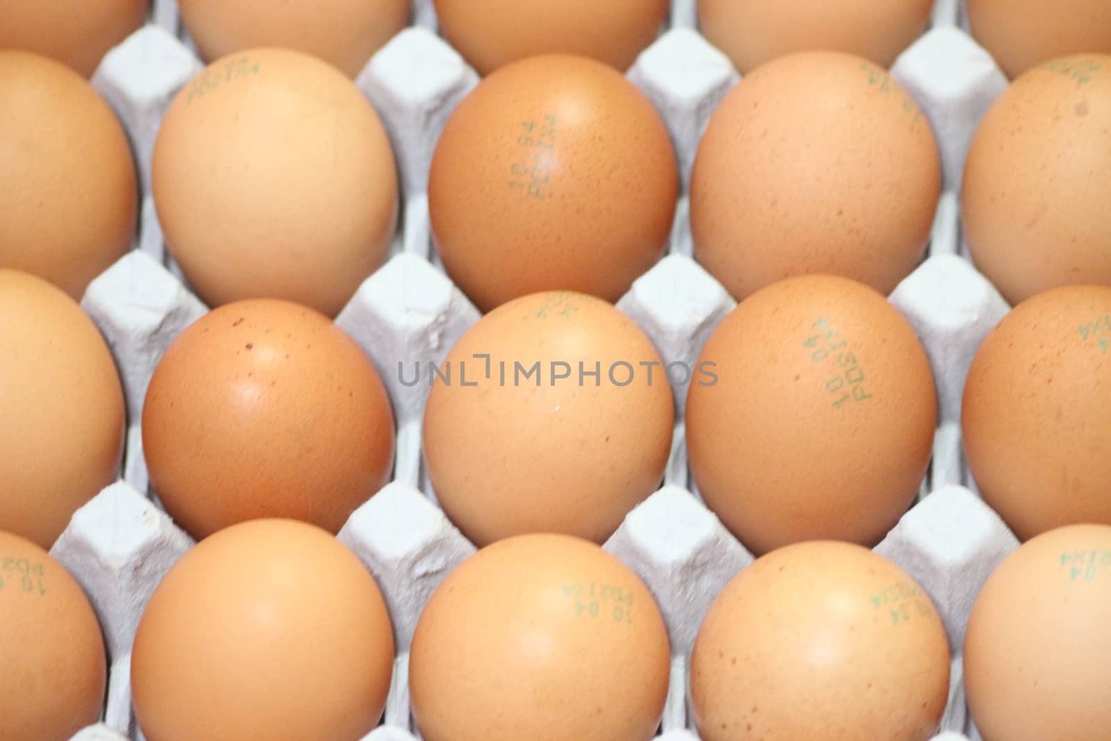 Closeup view with selective focus on fresh farm chicken eggs in an egg-carton or egg holder or paper tray placed in market for sale