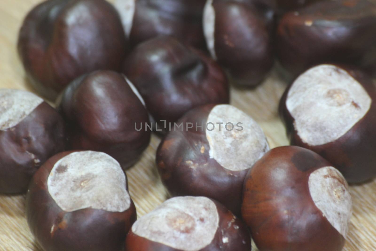 Chestnut and chestnut pod with spines on a wooden floor. Close-Up of dried Chestnut fruits over wooden background.