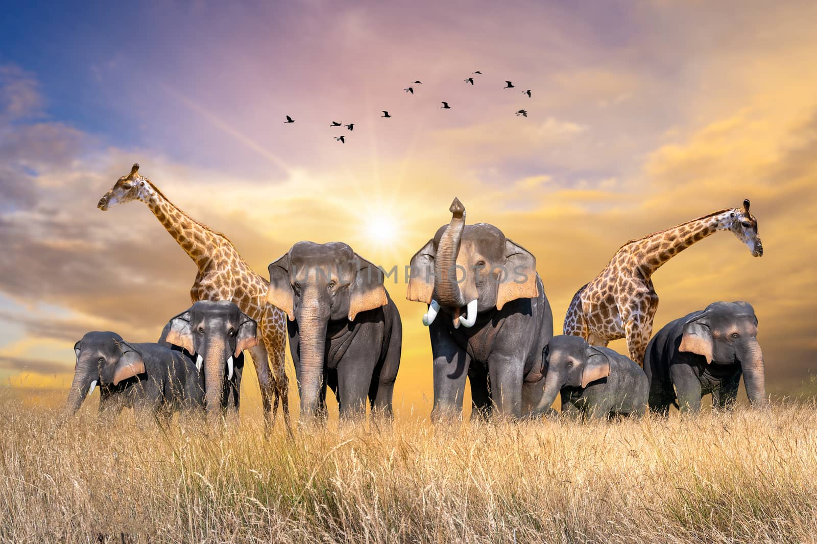 Large group of african safari animals. Wildlife conservation concept by sarayut_thaneerat