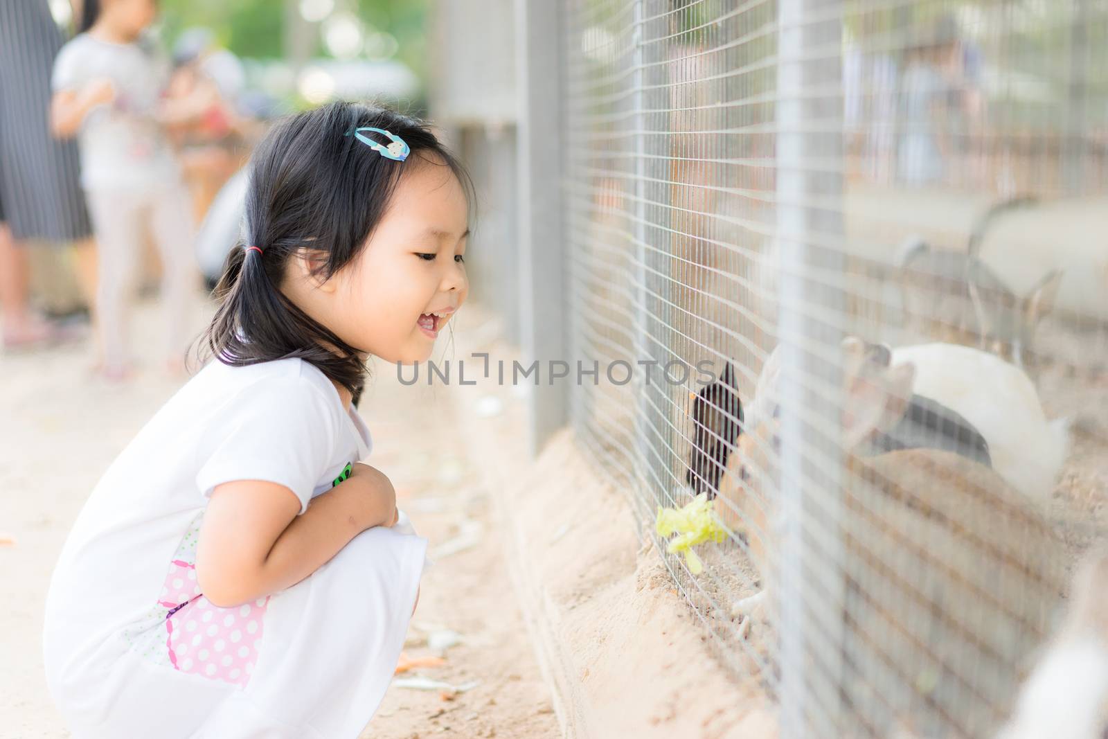 Cute little girl feeding rabbit on the farm