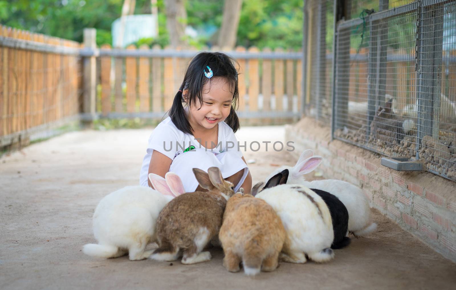 Cute little girl feeding rabbit on the farm by domonite
