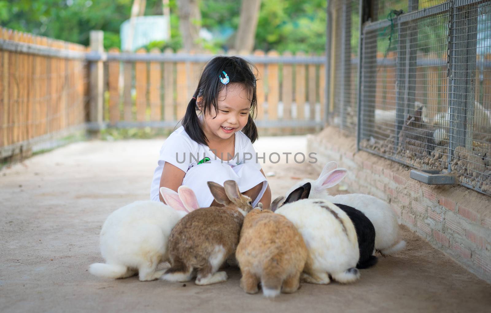 Cute little girl feeding rabbit on the farm