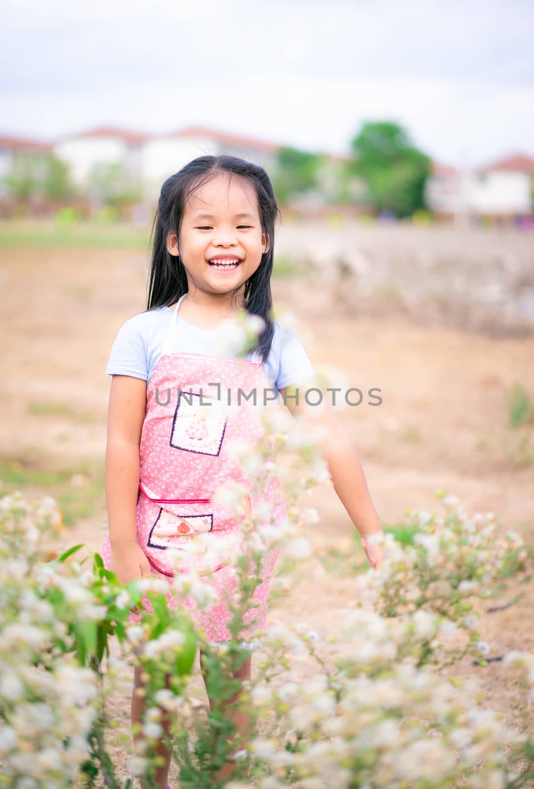 Cute little girl with grass flowers in the park