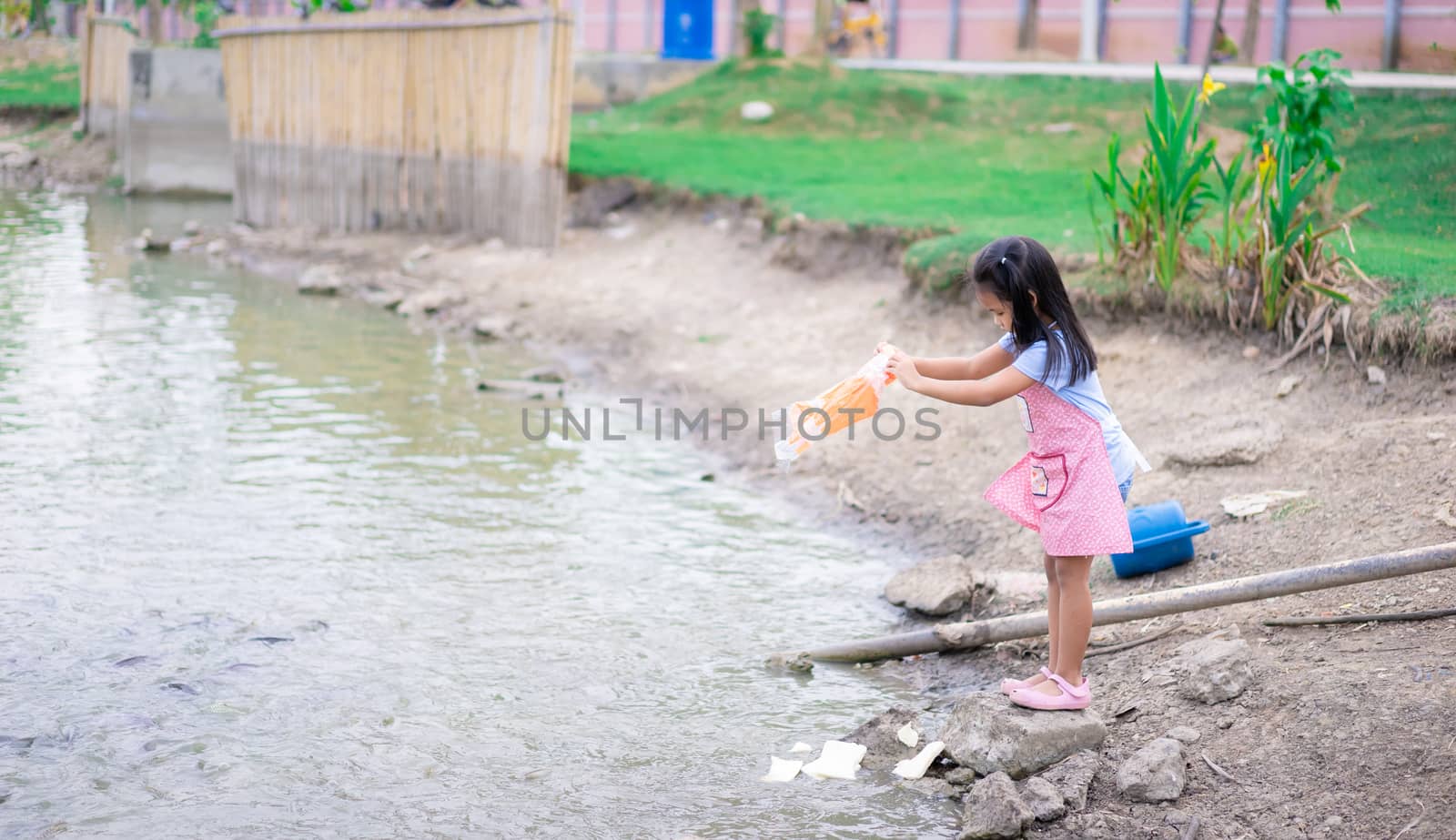 A little girl feeding fish at the pond in public park by domonite