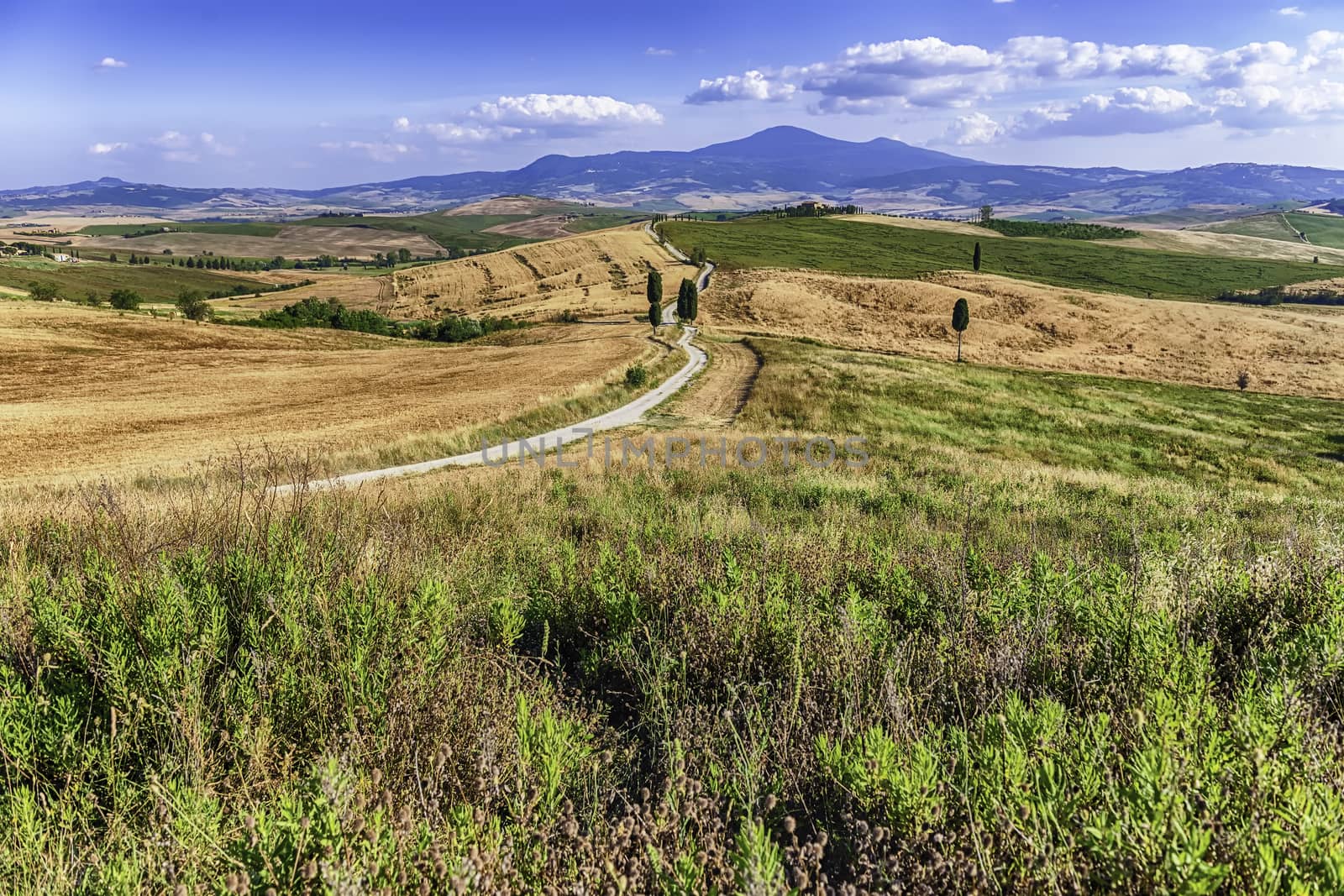 Landscape of dry fields in the countryside in Tuscany, Italy by marcorubino