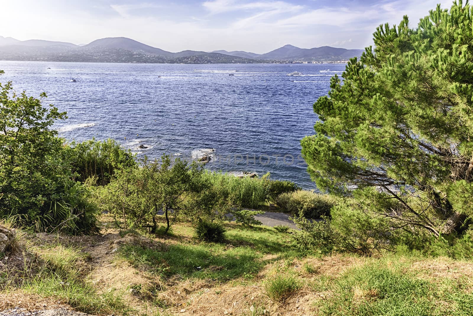 Scenic view of Saint-Tropez from Castle Hill, Cote d'Azur, Franc by marcorubino