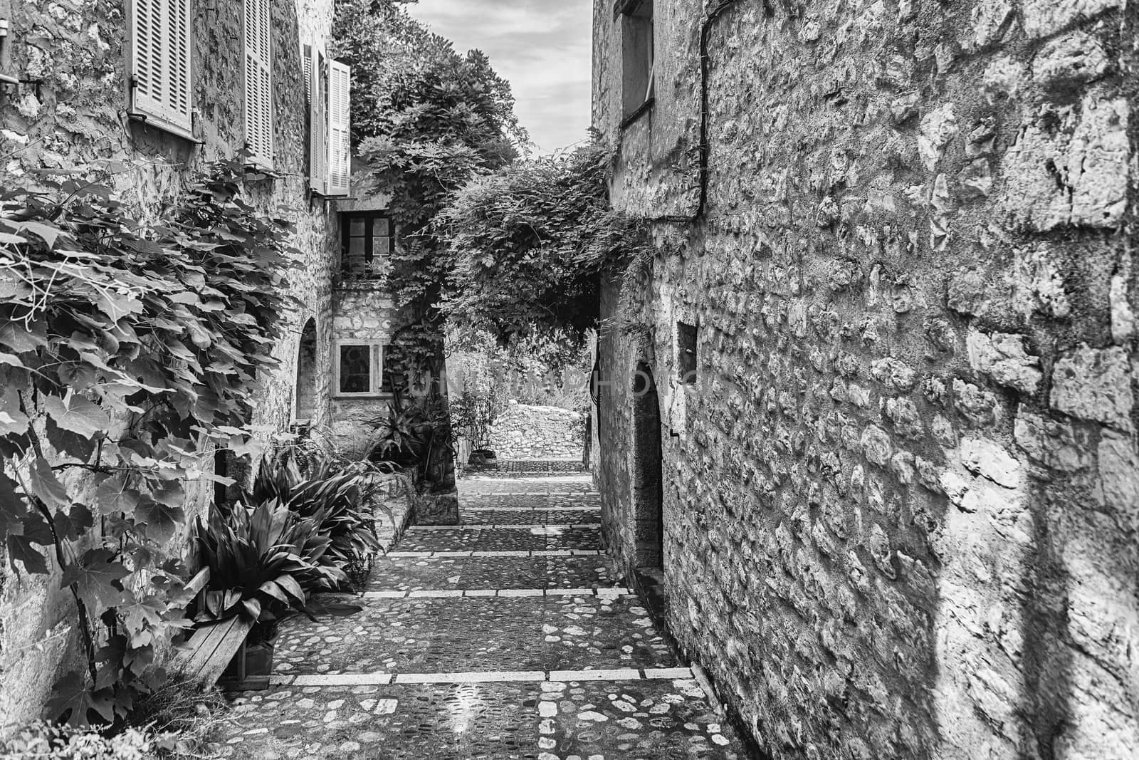 Walking in the picturesque streets of Saint-Paul-de-Vence, Cote  by marcorubino