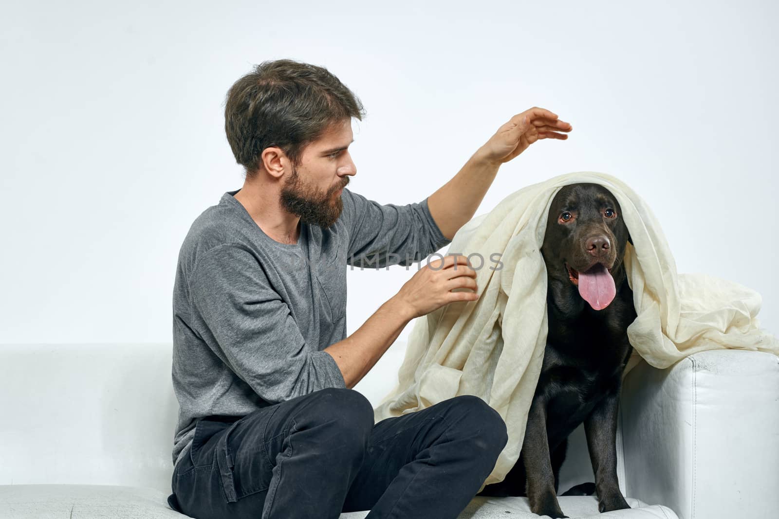 Happy man with dog and light fabric fun scarf friends pet. High quality photo