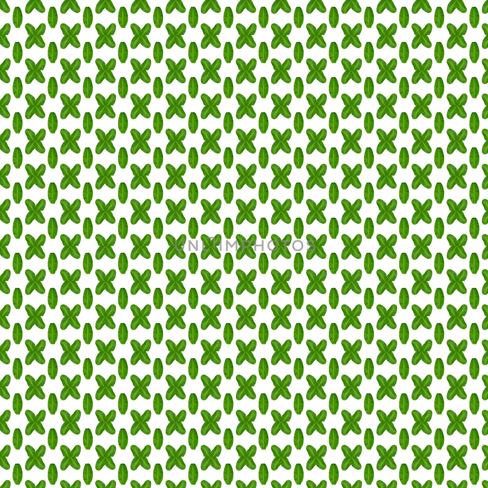 Seamless pattern of green banana leaves on white background. by Unimages2527
