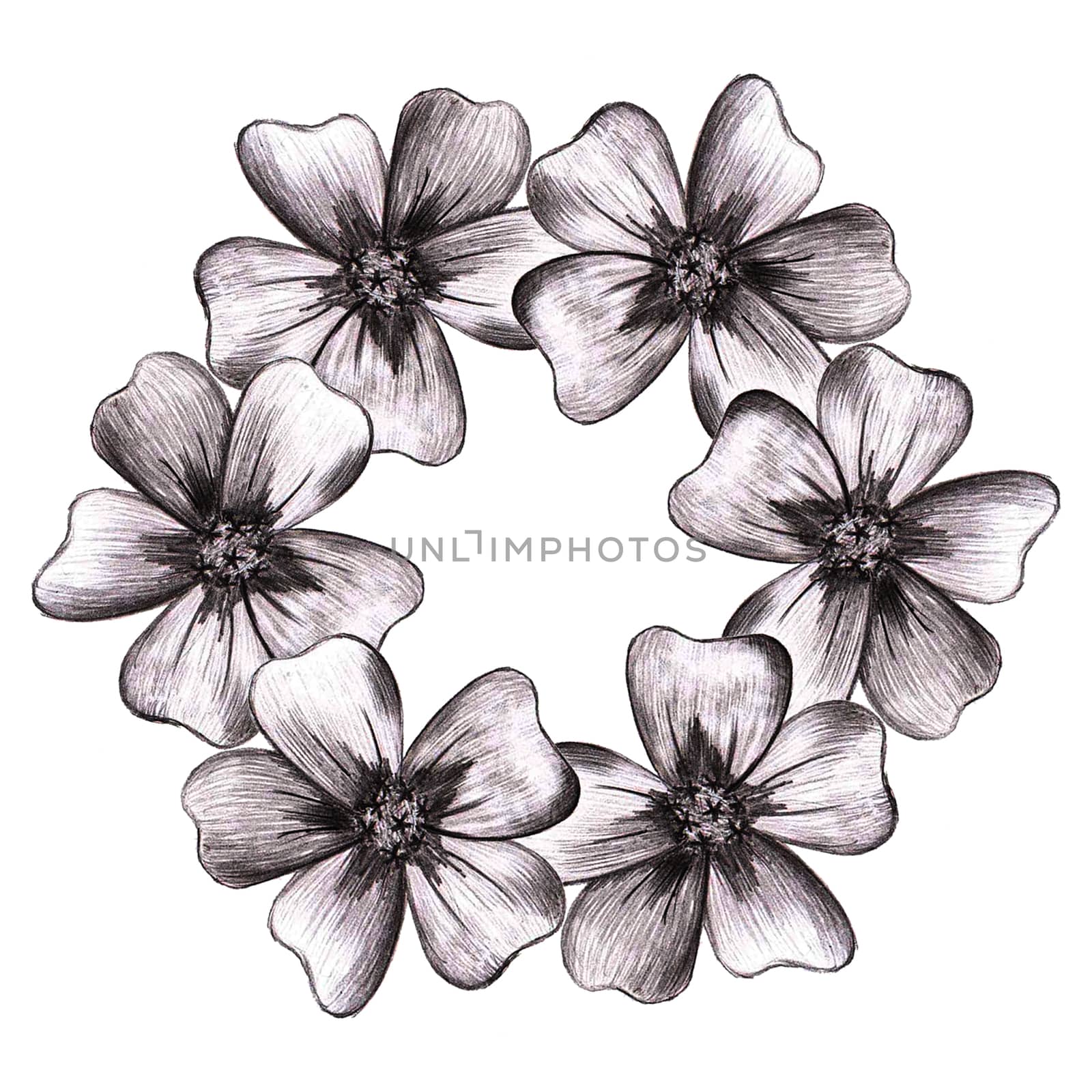 Black Hand-Drawn Flower Circle Composition. Thin-leaved Marigolds Sketch. by Rina_Dozornaya