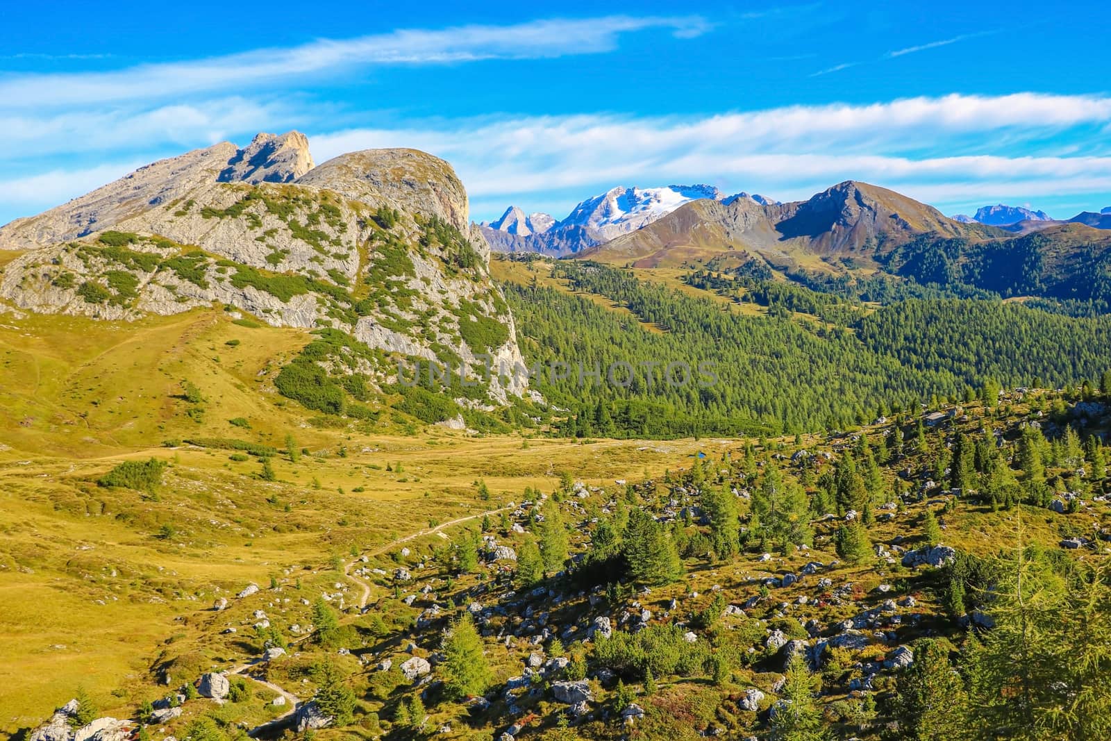 Dolomite Mountains and Forest - Dolomites, Italy, Europe. Out of focus