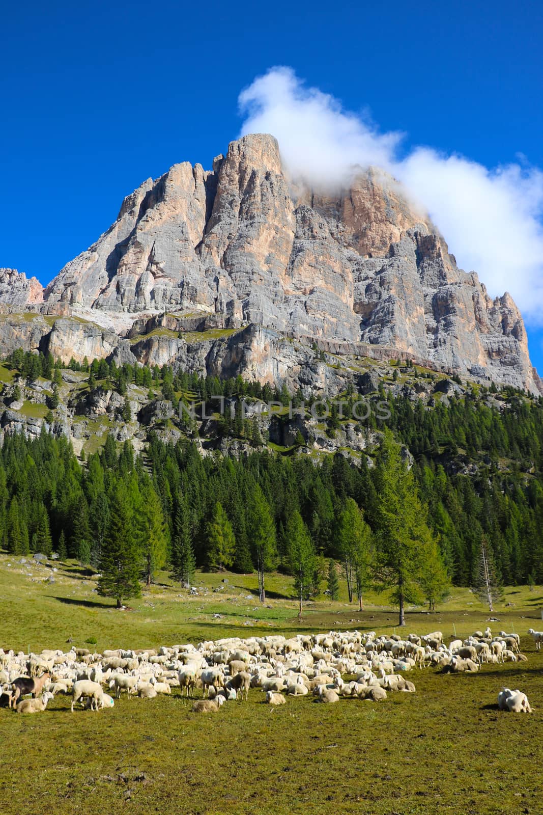 Beautiful summer landscape, fantastic alpine pass and high mountains, Dolomites, Italy, Europe