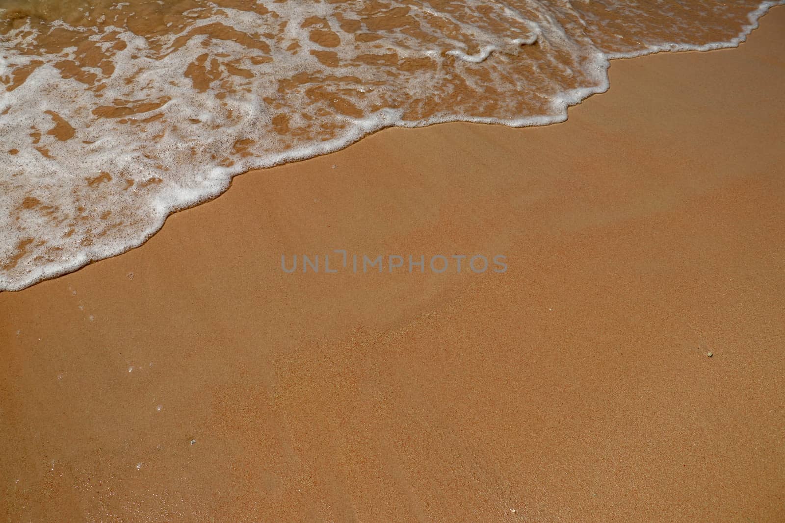 Soft wave of the sea on the sandy beach. Small wave of water on clear sandy beach.