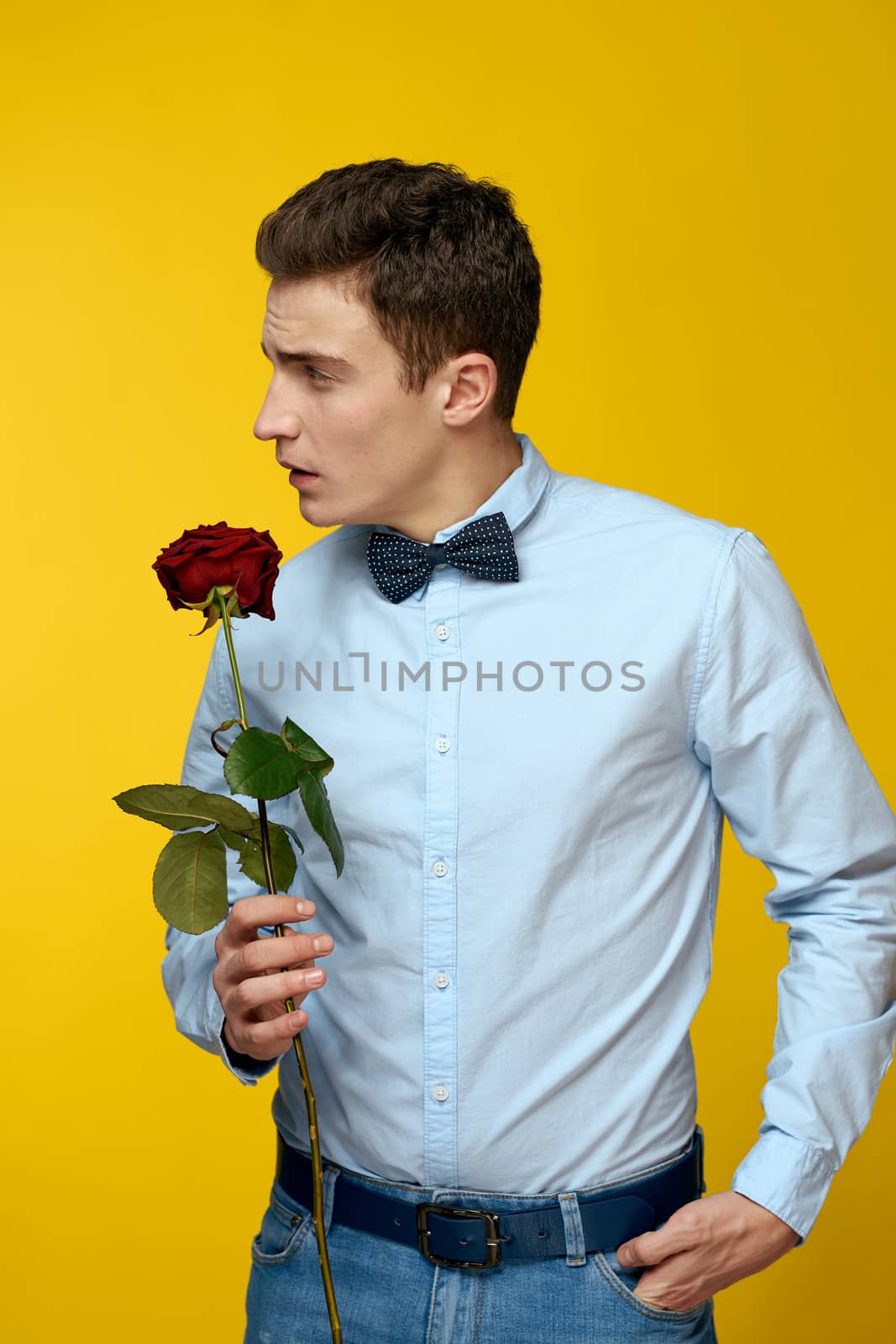 Elegant man in a suit with a red rose in his hands on a yellow background, cropped view. High quality photo