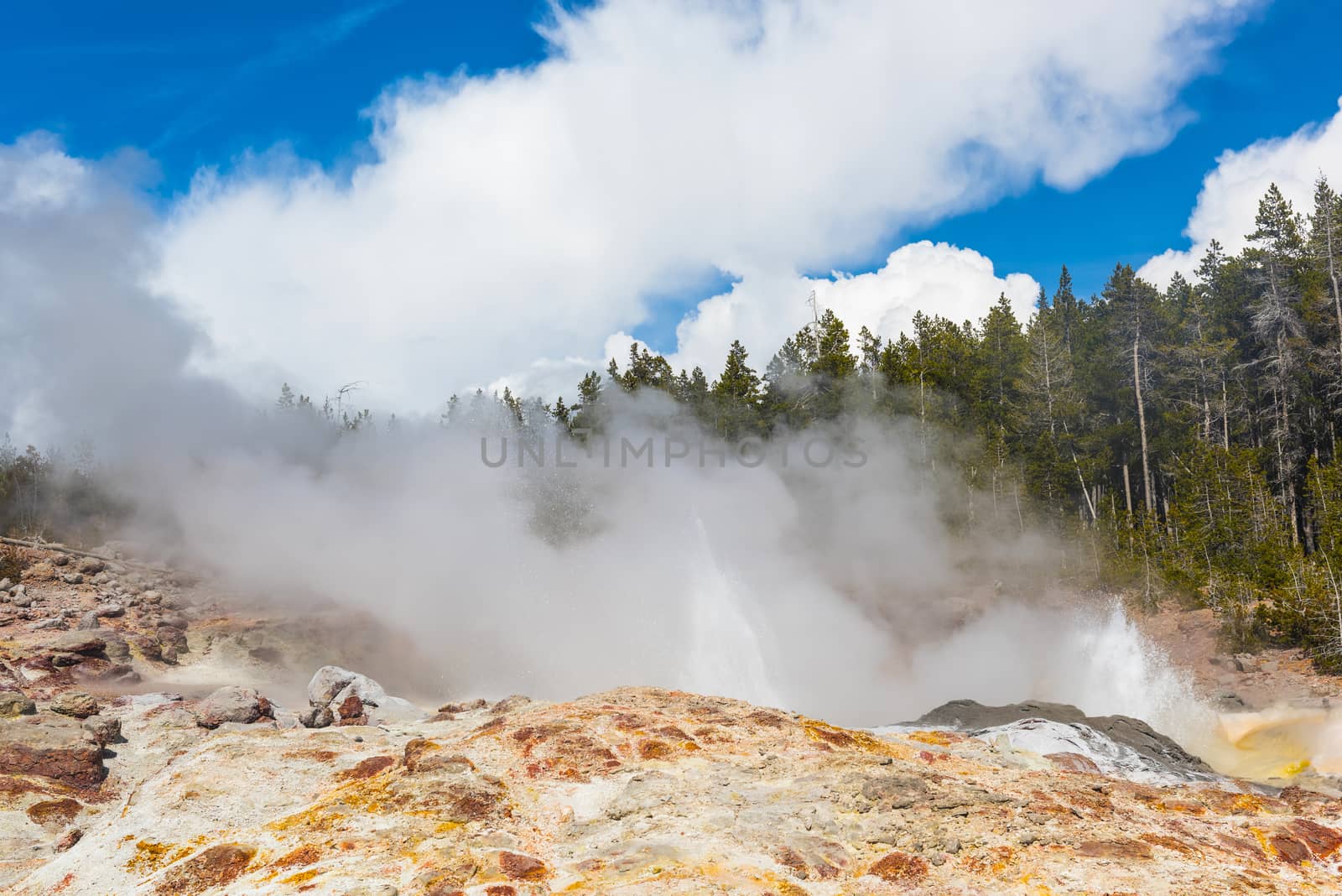 Steamboat geyser in Yellowstone national park by fyletto