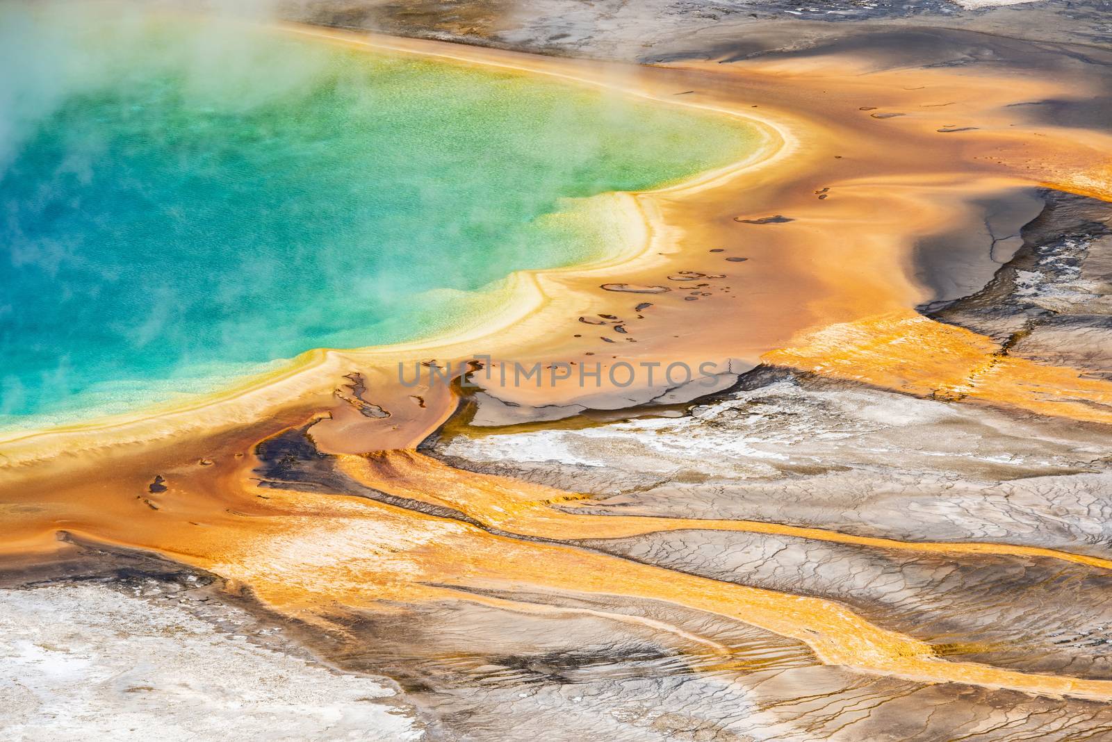 Deatiled photo of Grand Prismatic Spring from above. Yellowstone National Park, Wyoming, USA