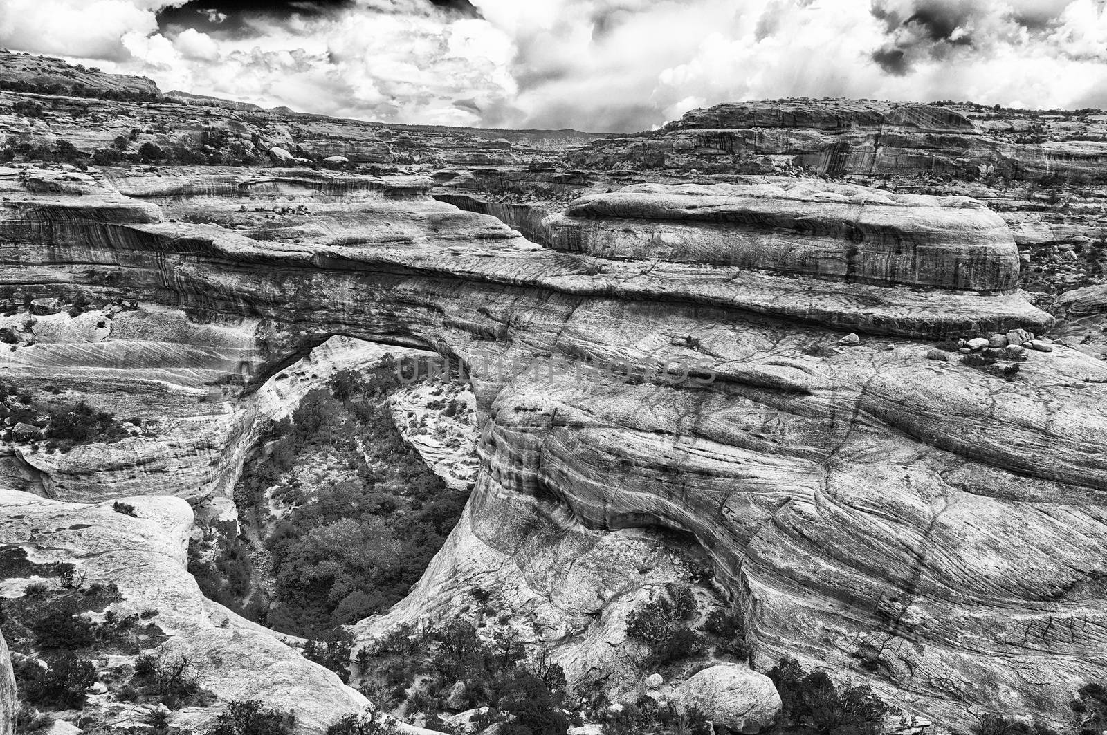 Sipapu Bridge in Natural Bridges National Monument. Utah, USA