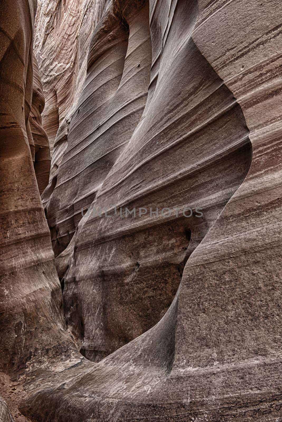 Narrow gorge leading to Zebra Canyon. The awsome zig-zag shapes were created by water. Grand Staircase-Escalante National Monument, Utah. USA