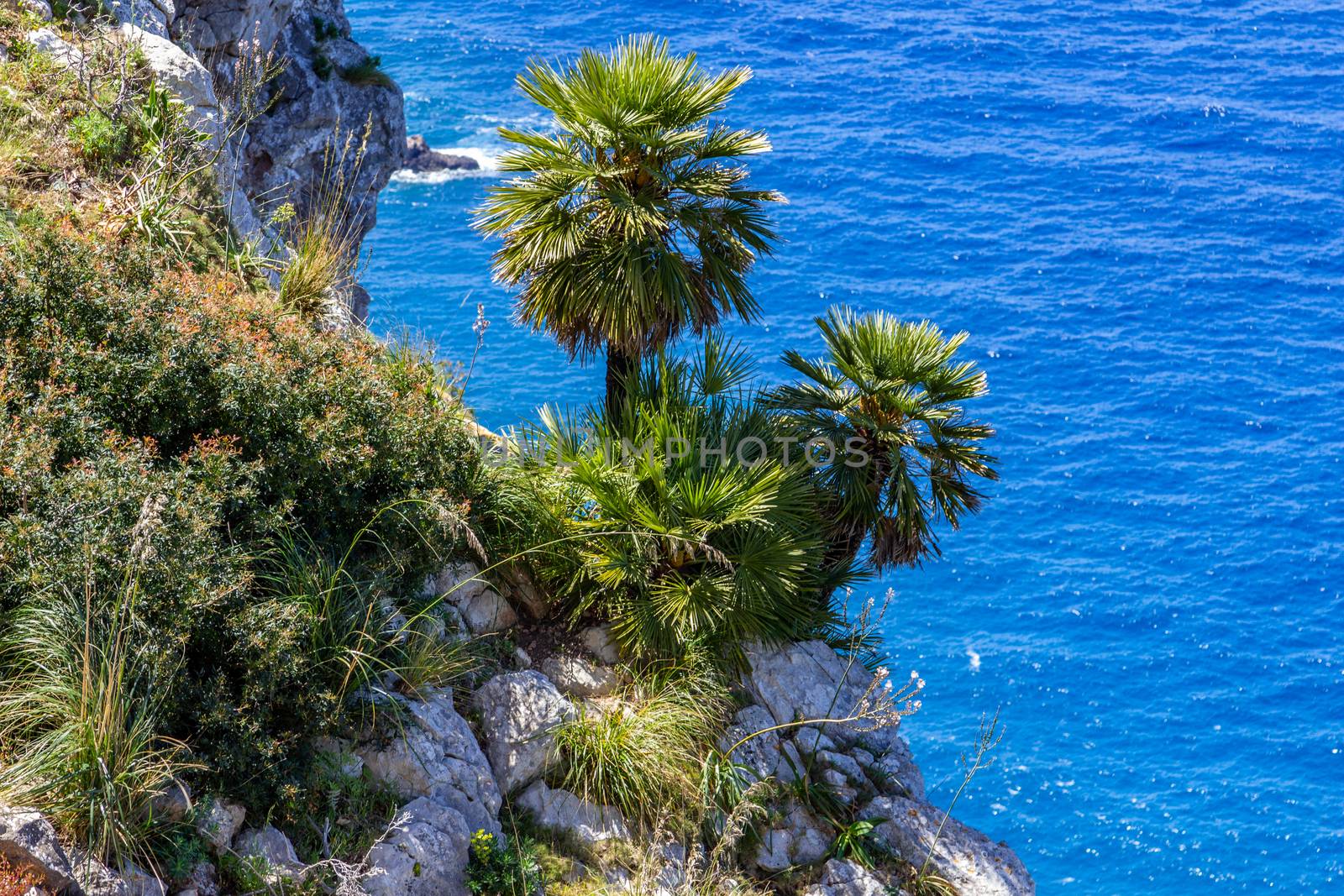 Scenic view on the coast of northern Mallorca between Bayalbufar and Andratx