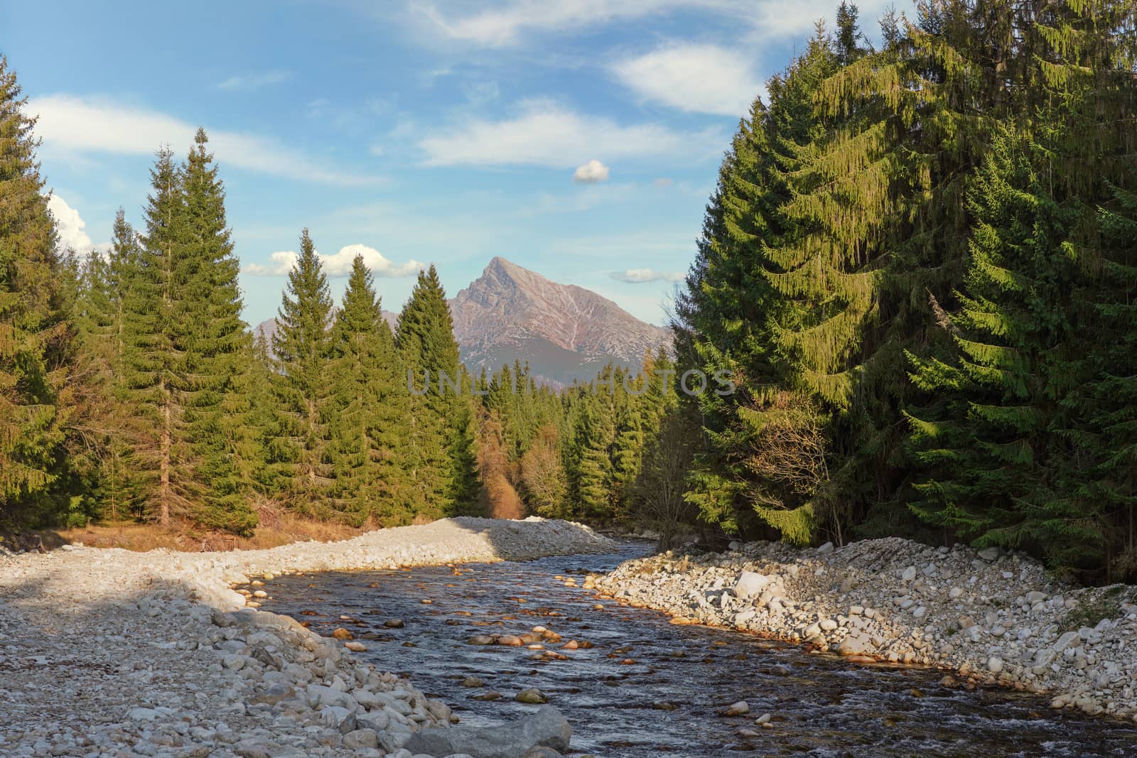 Forest river Bela with small round stones and coniferous trees on both sides, sunny day, Krivan peak - Slovak symbol - in distance by Ivanko