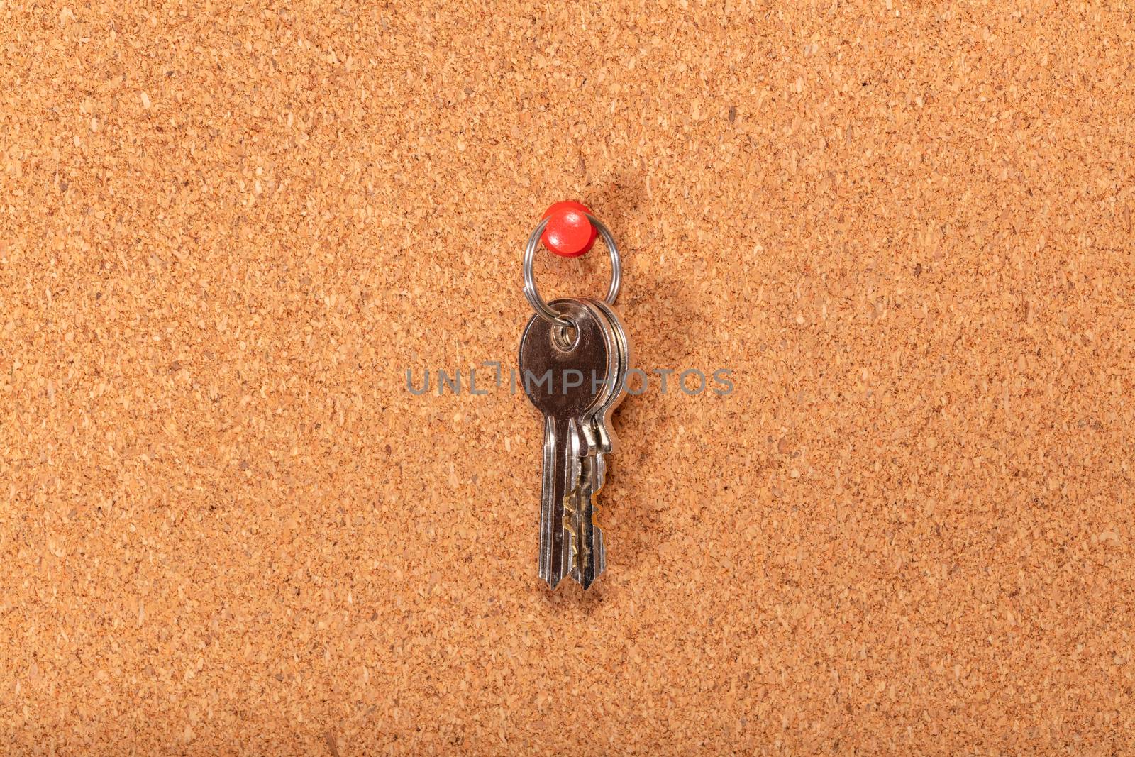 Keys hanging on a pin on an empty corkwood notice board in business office. Safety and security reminder, business closure, business for sale concepts. by DamantisZ