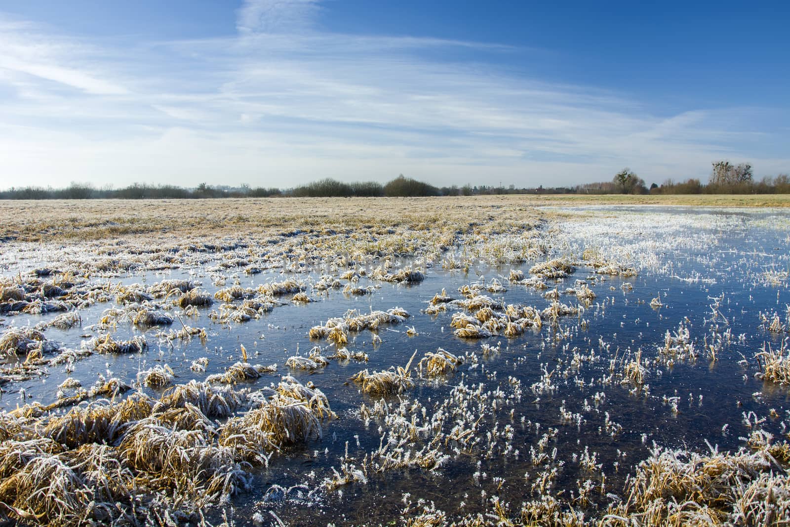 Frozen water and frost on the meadow, horizon and blue sky, winter view