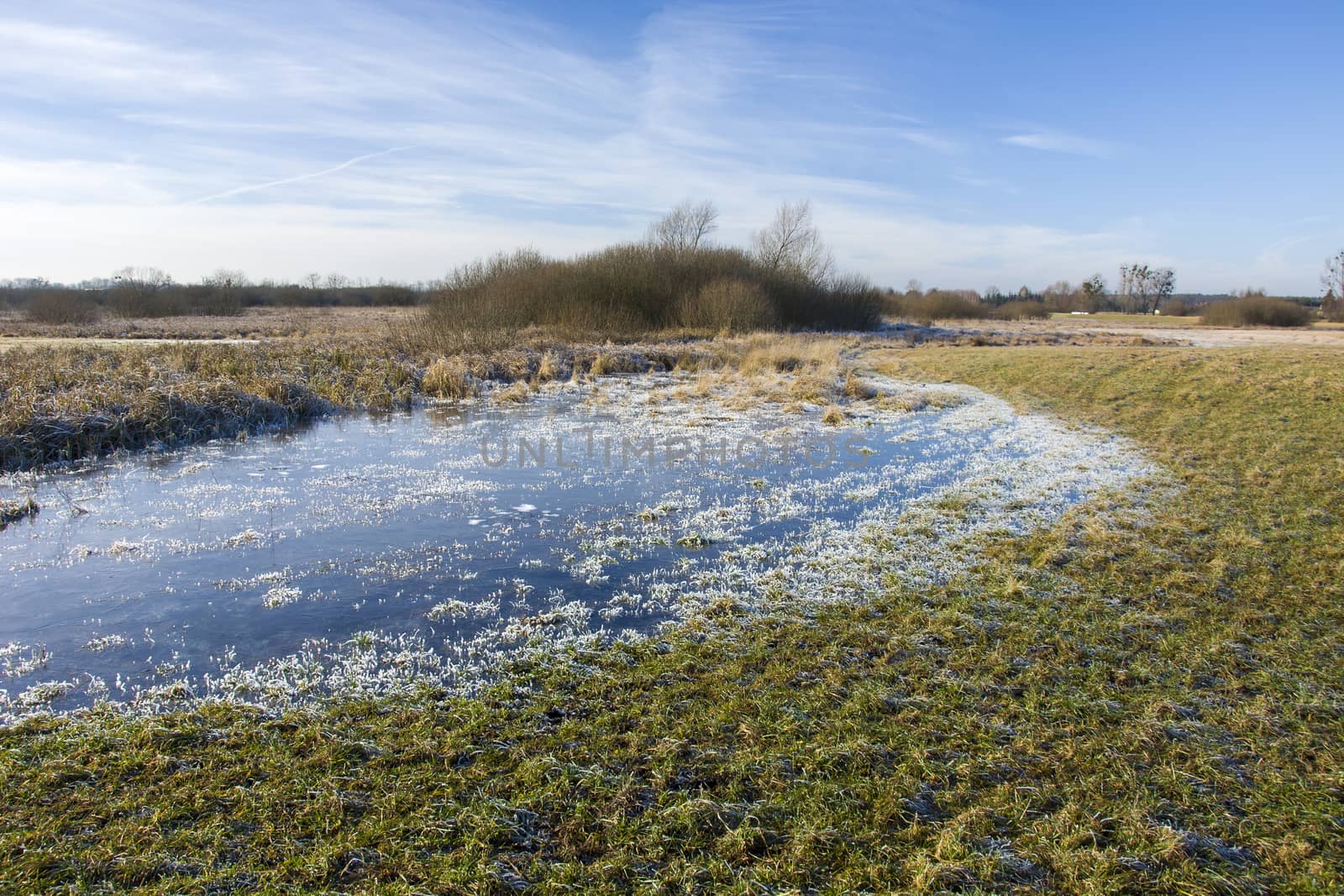 Frozen pond and frost on the meadow, shrubs on the horizon and blue sky, winter view
