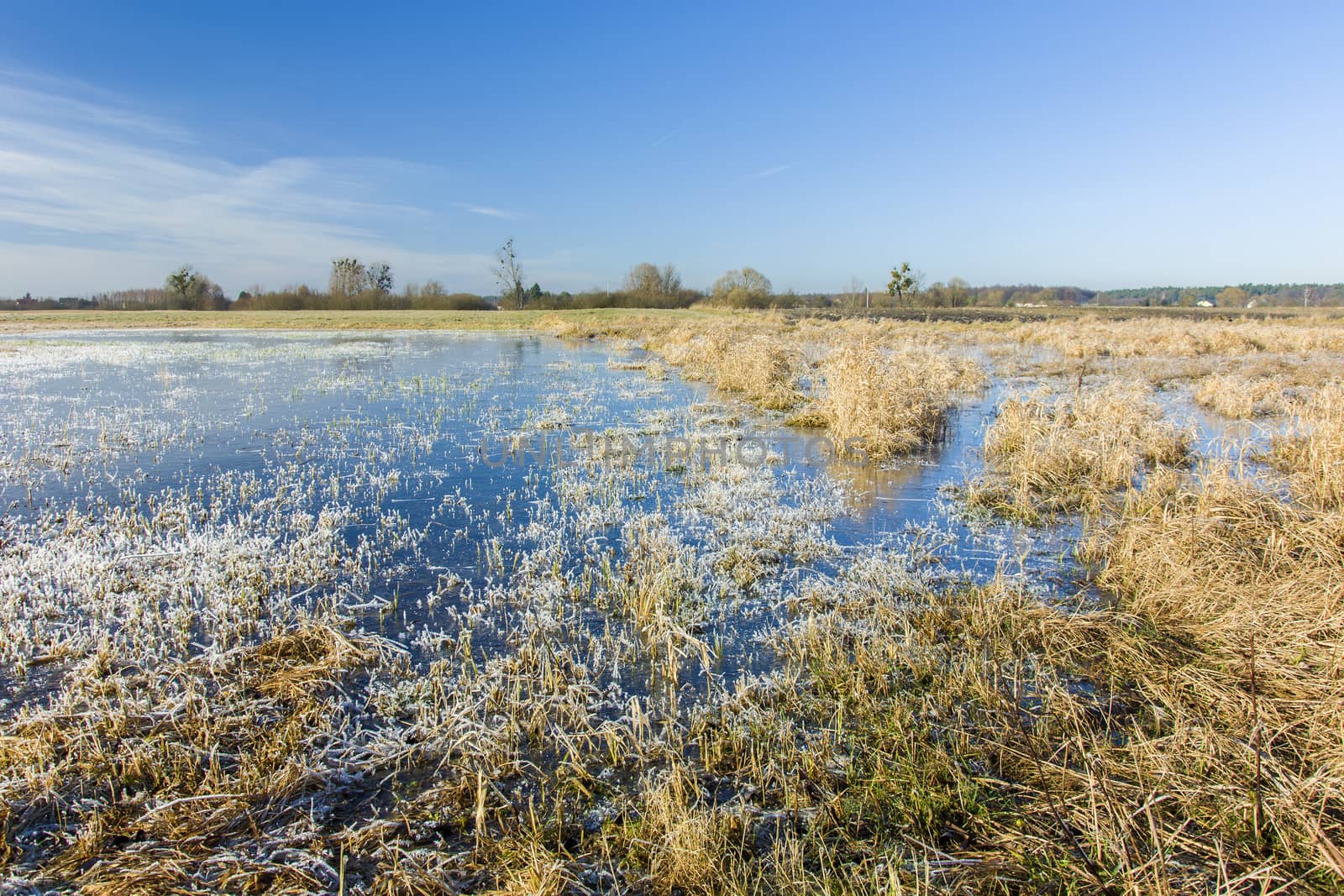 Frozen water and frost on dry meadow, horizon and blue sky, winter view