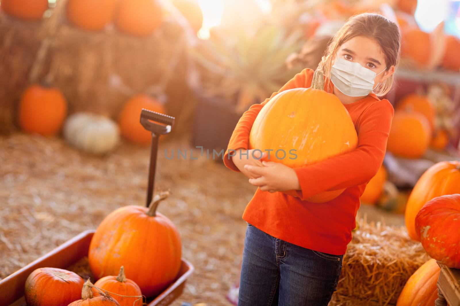 Cute Girl Choosing A Pumpkin At Pumpkin Patch Wearing Medical Fa by Feverpitched