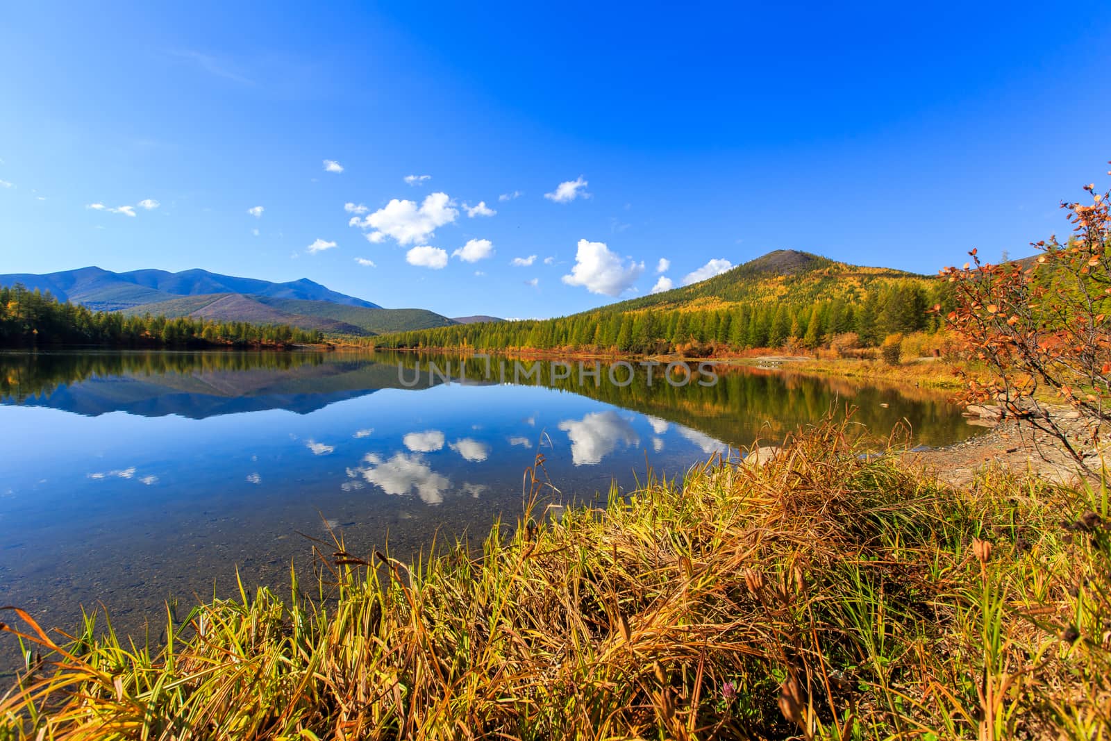 The nature of the Magadan region. A beautiful flat surface of the lake against the background of colored hills and the blue sky. Fascinating view of the forest lake by PrimDiscovery