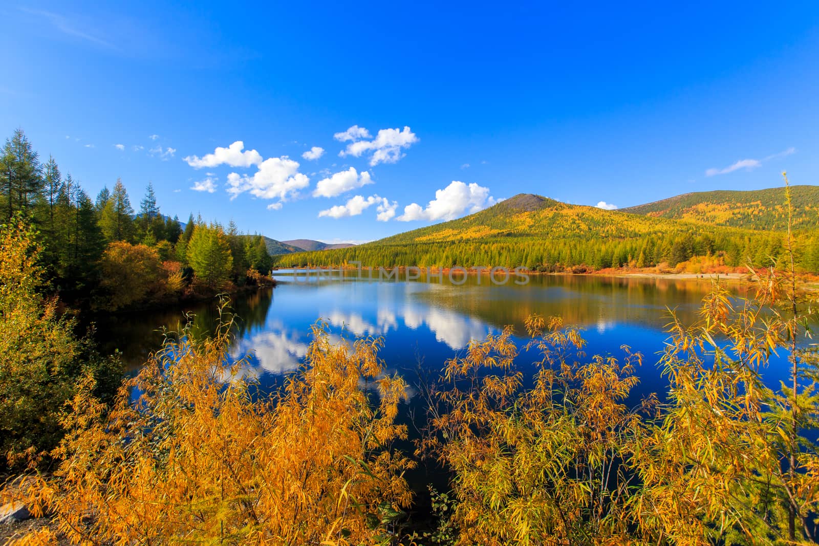 The nature of the Magadan region. A beautiful flat surface of the lake against the background of colored hills and the blue sky. Fascinating view of the forest lake by PrimDiscovery