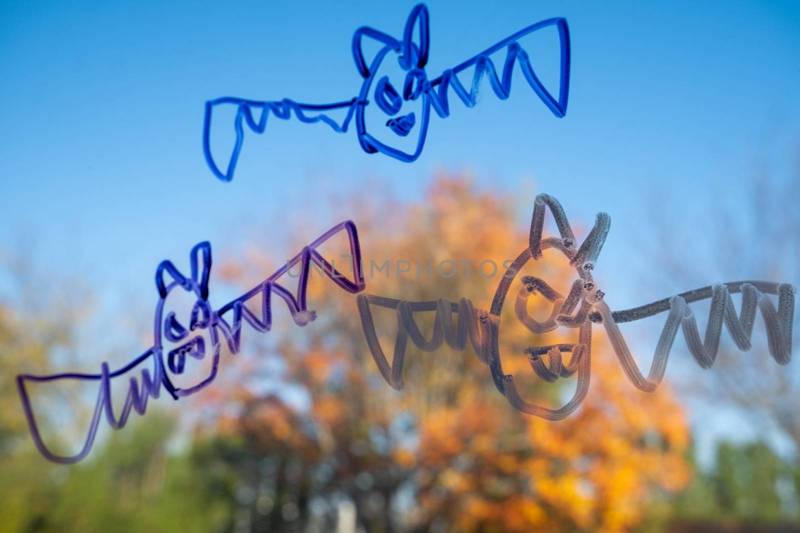 Drawings of vampire bats done by a child in marker adorn a window in October, symbolizing an indoor Halloween for 2020.