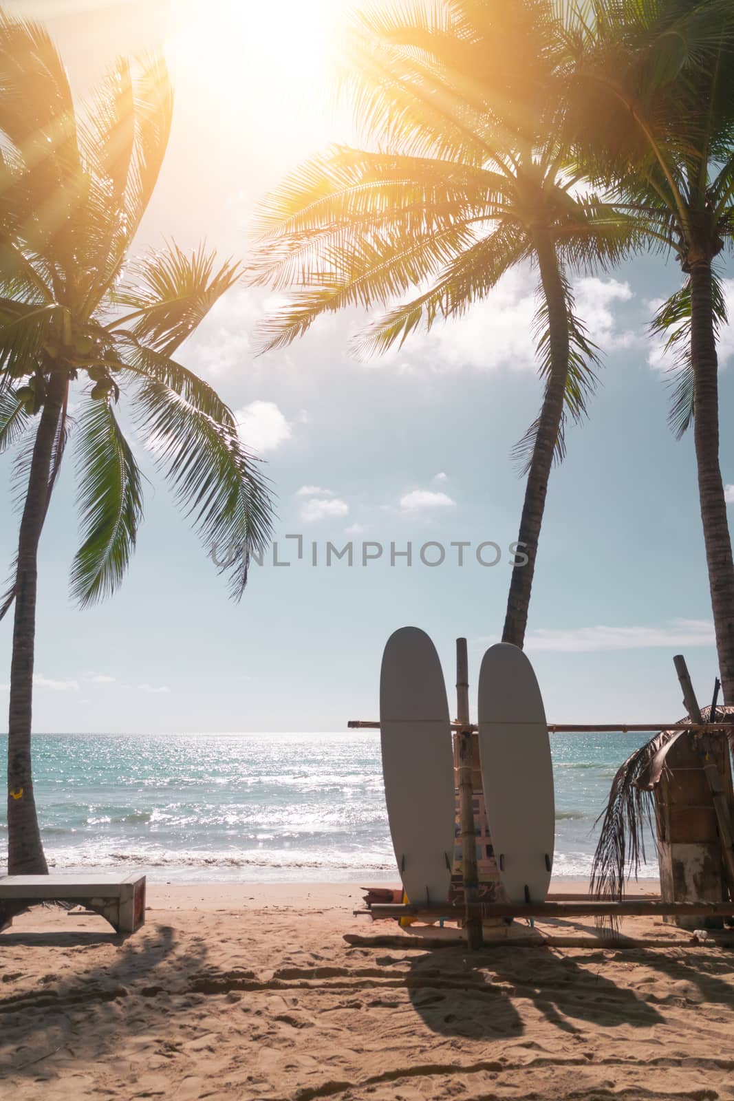 Surfboards beside coconut trees at summer beach. by Suwant