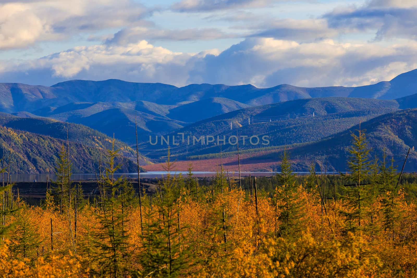 Bright low hills in the tundra, covered with grass and colorful trees. Russian tundra