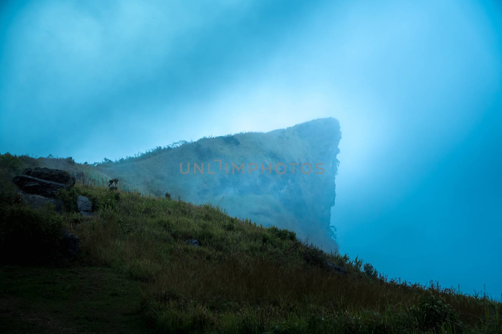 mountain peak of Phu Chi Fa in Chiang Rai,Thailand on the time of thick fog