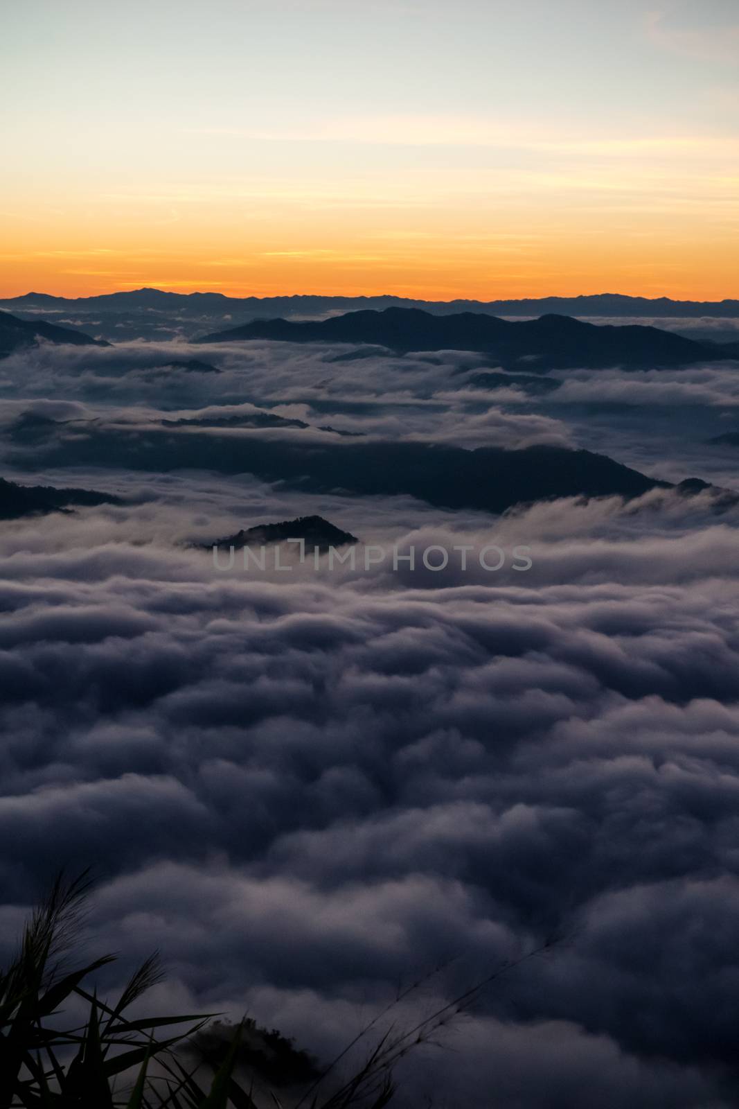 sunrise and sea of fog view on phu chi fa mountain area and national forest park in chiang rai, Thailand.