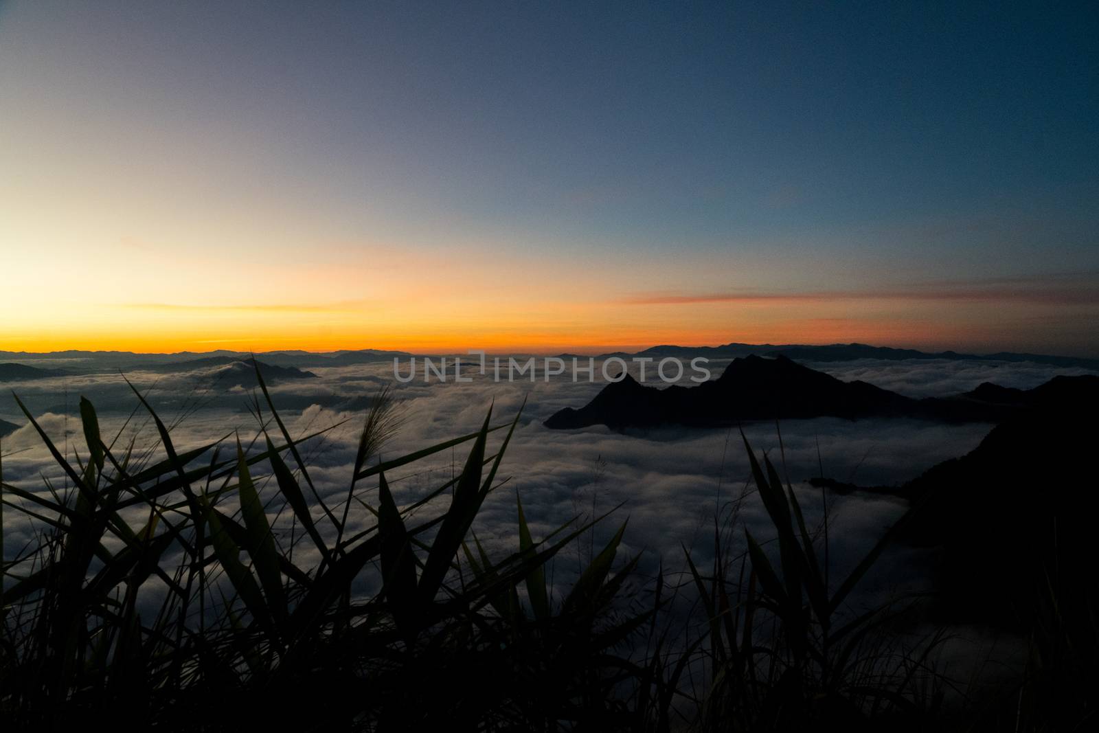 sunrise and sea of fog view on phu chi fa mountain area and national forest park in chiang rai, Thailand.