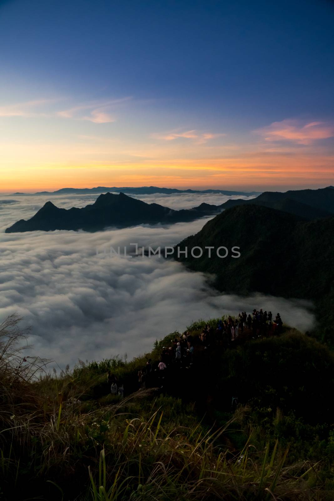 sunrise and sea of fog view on phu chi fa mountain area and national forest park in chiang rai, Thailand.