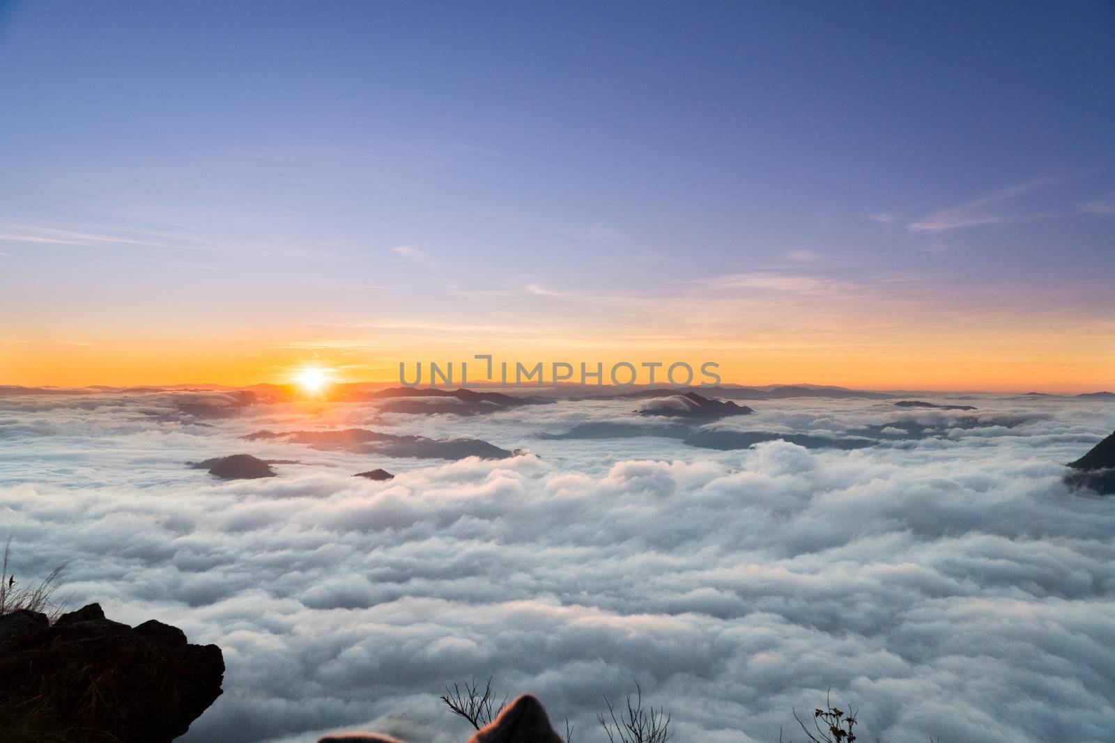 sunrise and sea of fog view on phu chi fa mountain area and national forest park in chiang rai, Thailand.