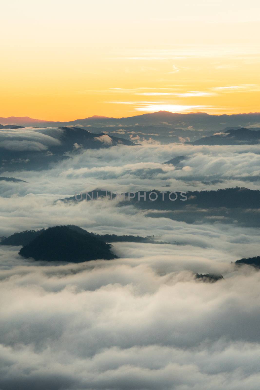 sunrise and sea of fog view on phu chi fa mountain area and national forest park in chiang rai, Thailand.