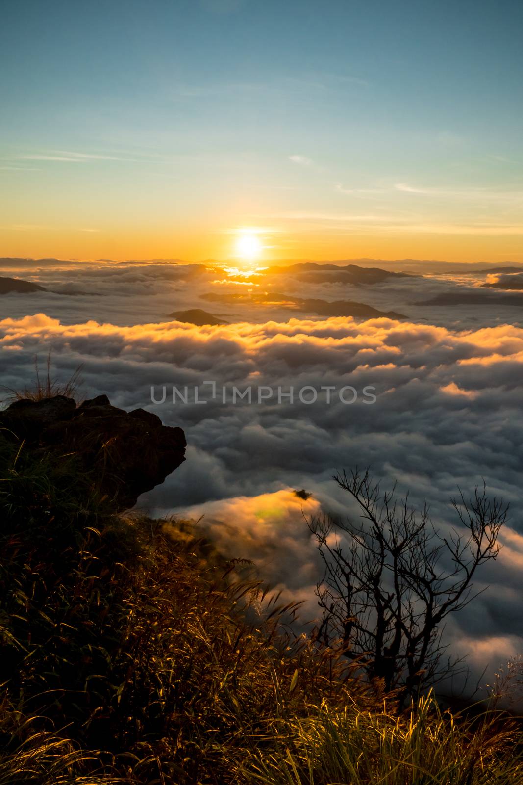 sunrise and sea of fog view on phu chi fa mountain area and national forest park in chiang rai, Thailand.