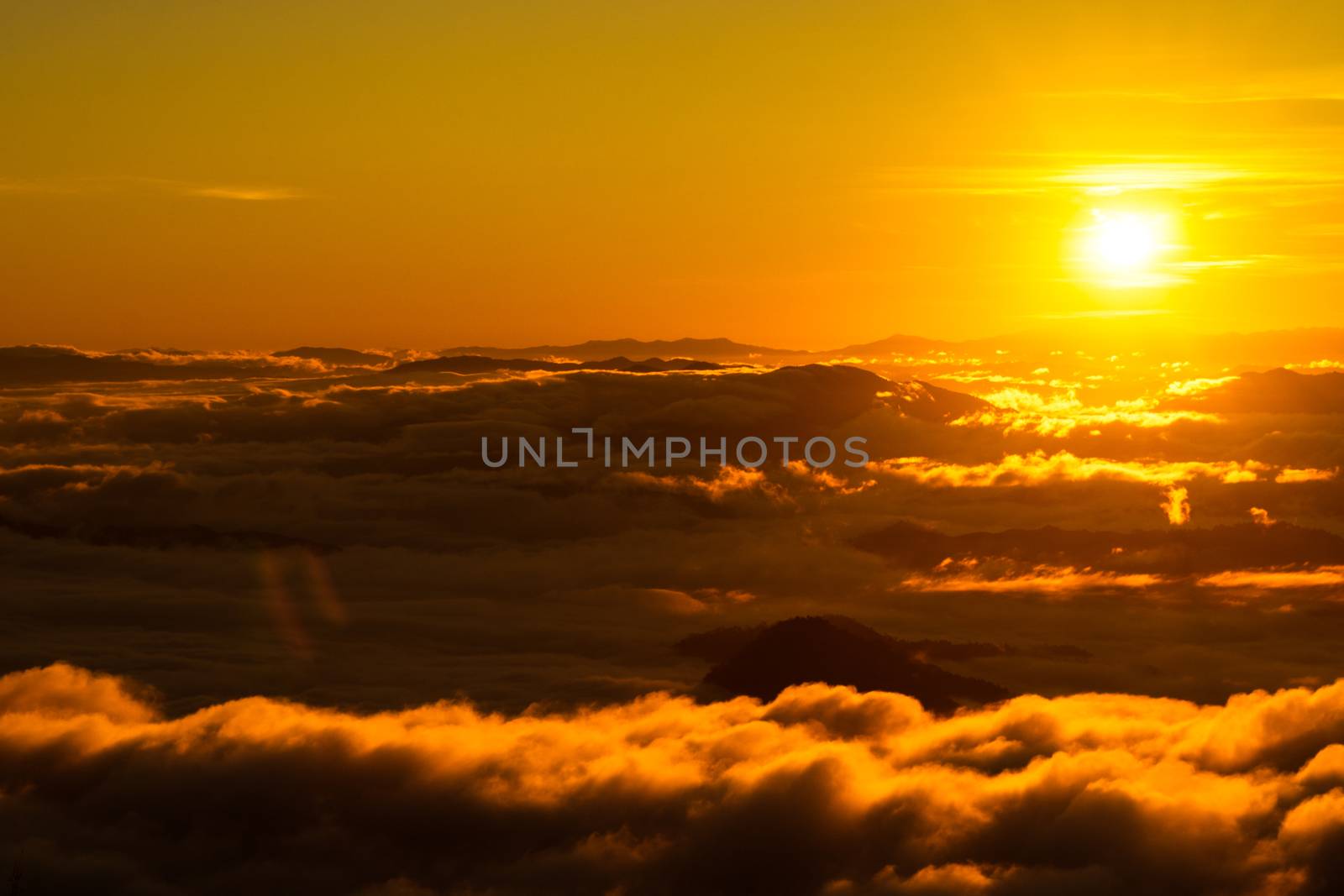 sunrise and sea of fog view on phu chi fa mountain area and national forest park in chiang rai, Thailand.