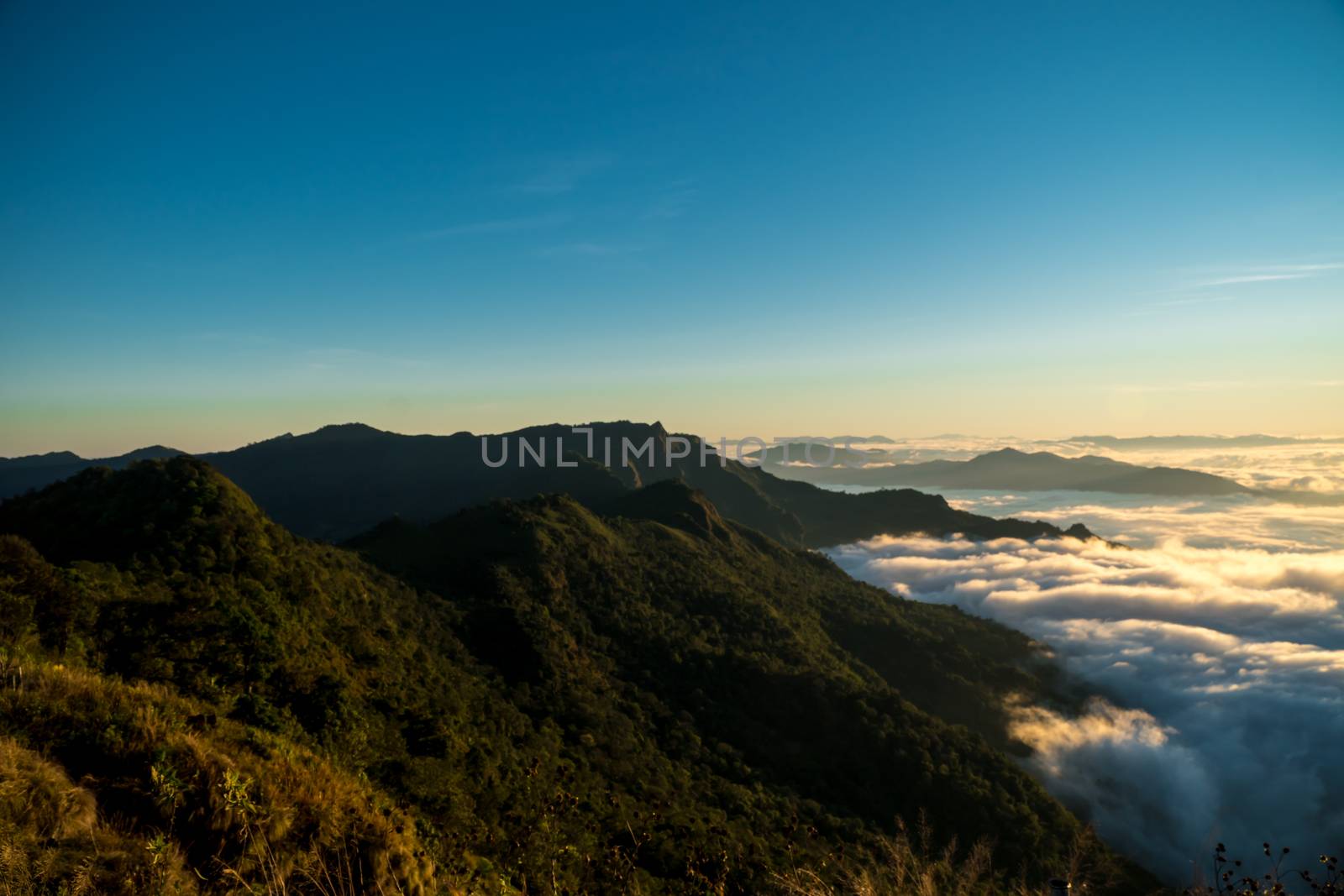 sunrise and sea of fog view on phu chi fa mountain area and national forest park in chiang rai, Thailand.