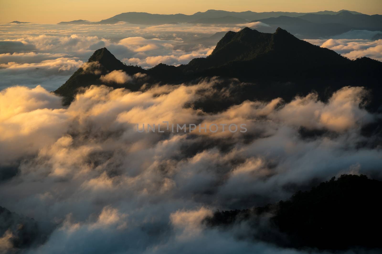 sunrise and sea of fog view on phu chi fa mountain area and national forest park in chiang rai, Thailand.