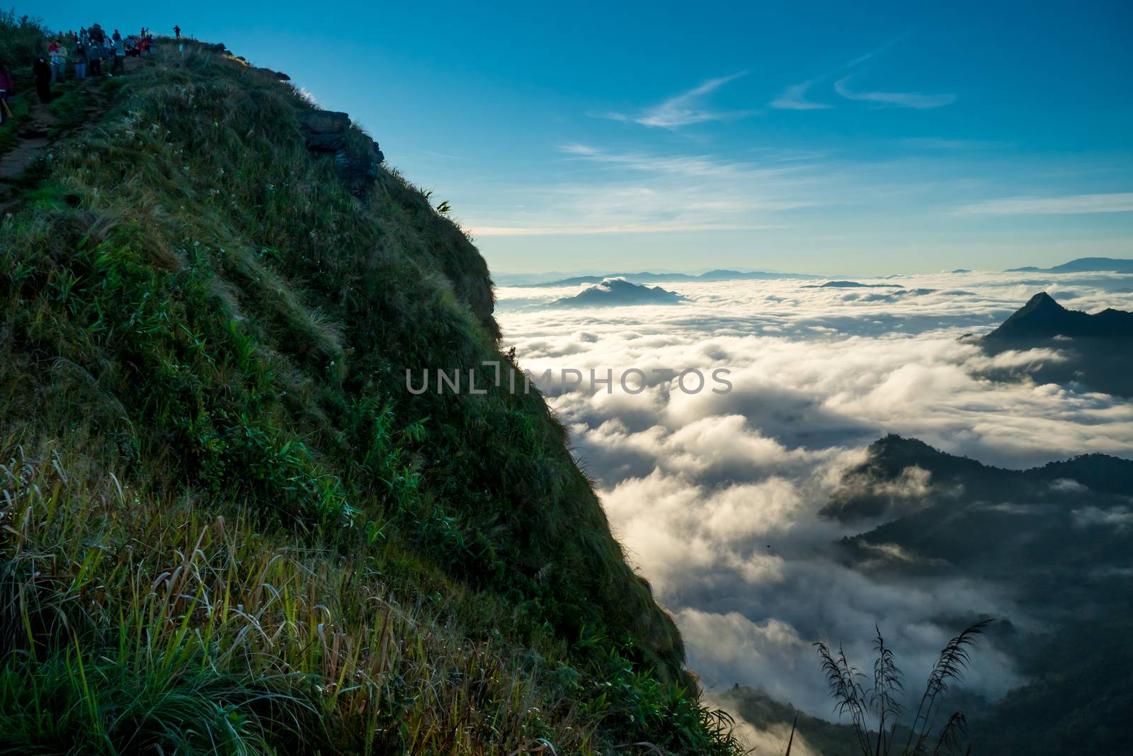 sunrise and sea of fog view on phu chi fa mountain area and national forest park in chiang rai, Thailand.